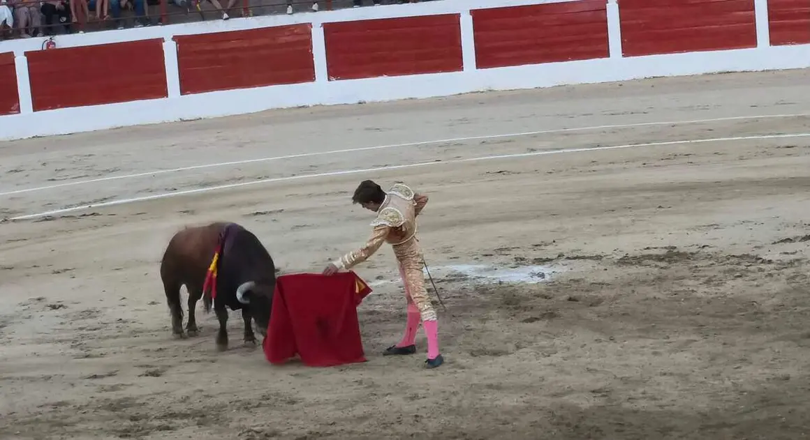 toros astorga (1)
