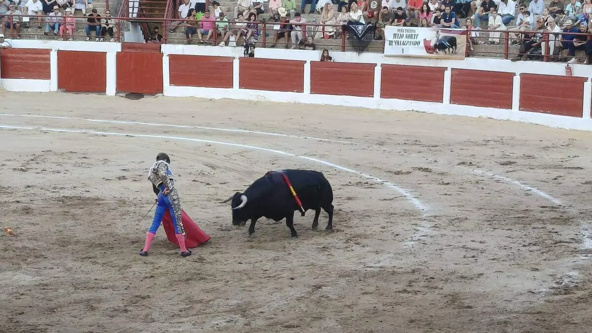 toros astorga (14)