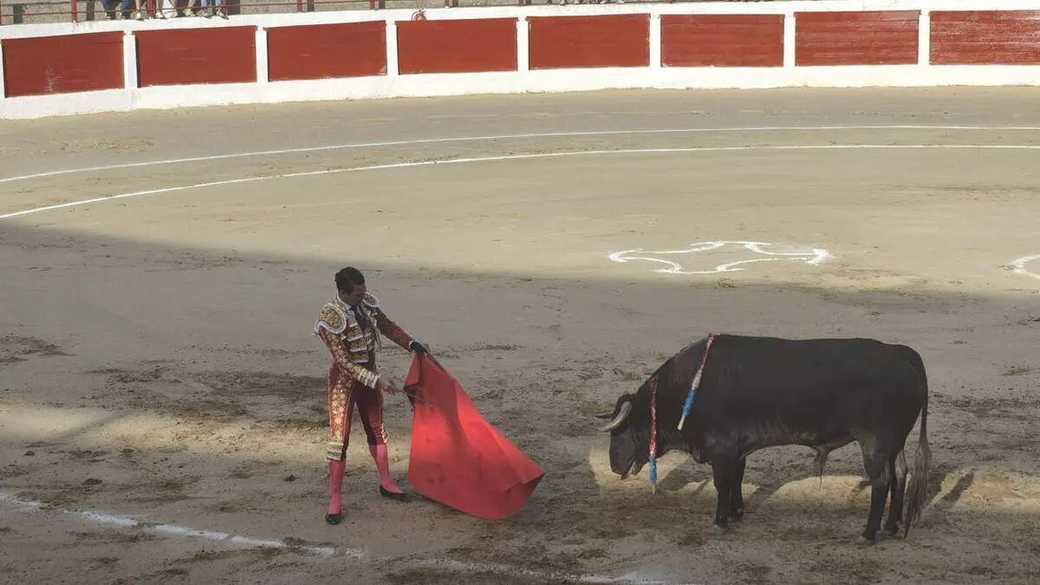 toros astorga (17)