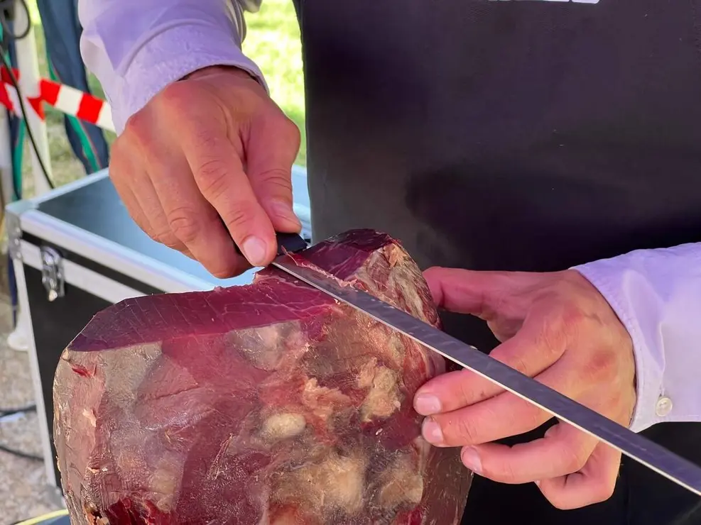 VIII Campeonato auton&oacute;mico de cortadores de cecina 'Agust&iacute;n Risue&ntilde;o'