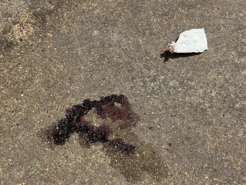 Dos fallecidos en la calle Santa Teresa de Veguellina de &Oacute;rbigo (Le&oacute;n)