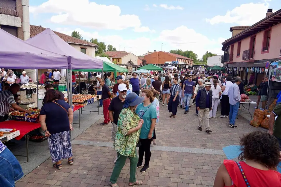feria tomate mansilla (3)