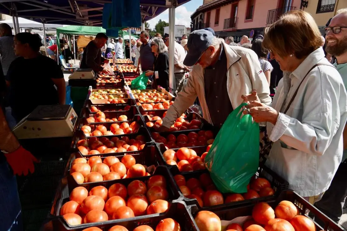 feria tomate mansilla (5)