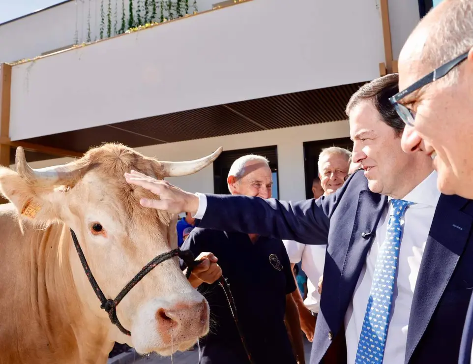 El presidente de la Junta de Castilla y Le&oacute;n, Alfonso Fern&aacute;ndez Ma&ntilde;ueco, inaugura la Feria del Sector Agropecuario y 37 Exposici&oacute;n Internacional de Ganado Puro, Salamaq 2026 junto al presidente de la Diputaci&oacute;n de Salamanca, Javier Iglesias, y la secretaria de Estado de Agricultura y Alimentaci&oacute;n, Bego&ntilde;a Garc&iacute;a Bernal. Foto: Susana Mart&iacute;n.