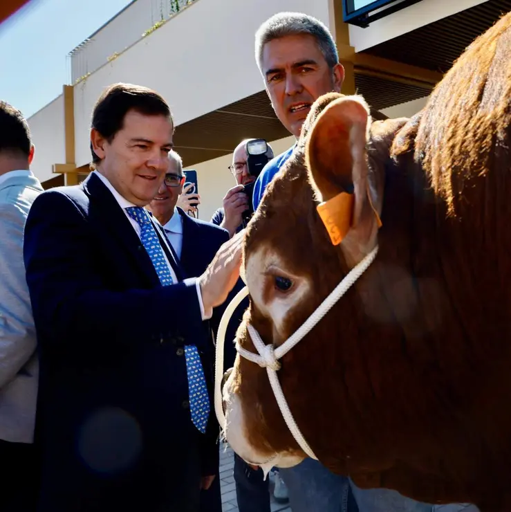 feria salamanca (9)
