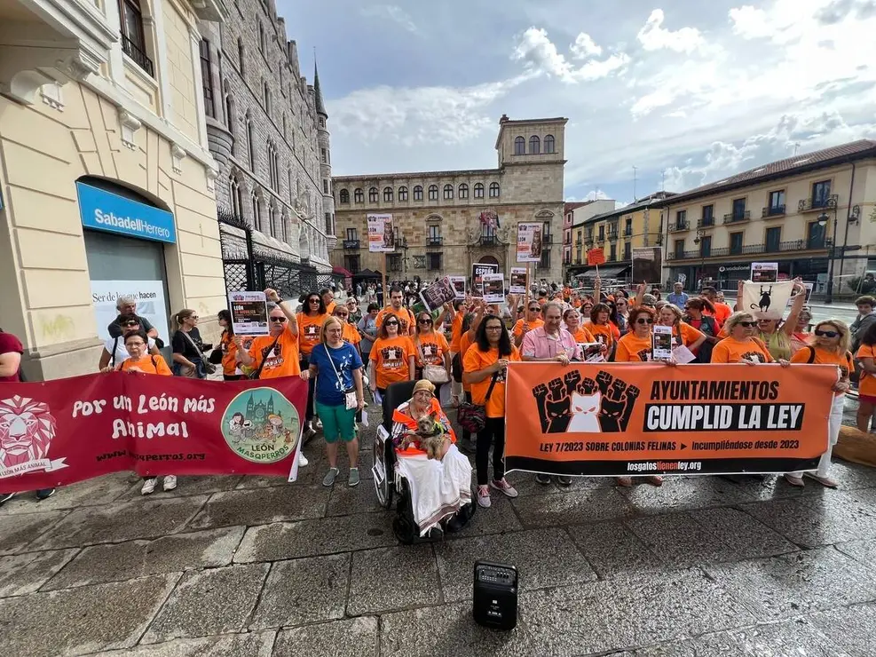 Concentraci&oacute;n en Le&oacute;n por las colonias felinas