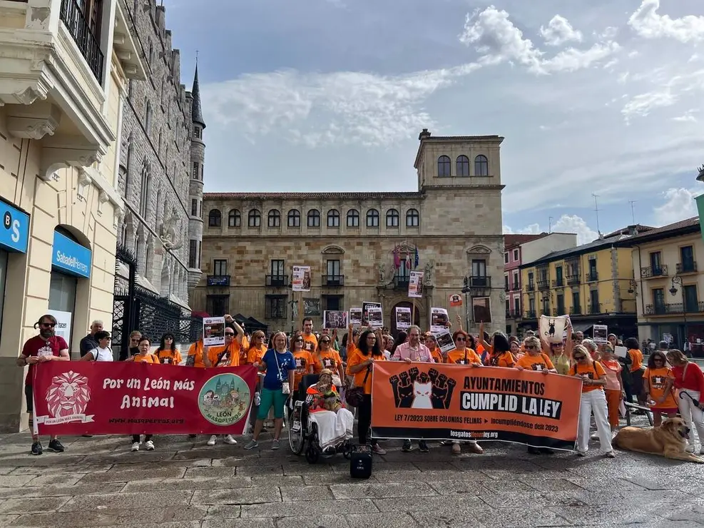Concentraci&oacute;n en Le&oacute;n por las colonias felinas