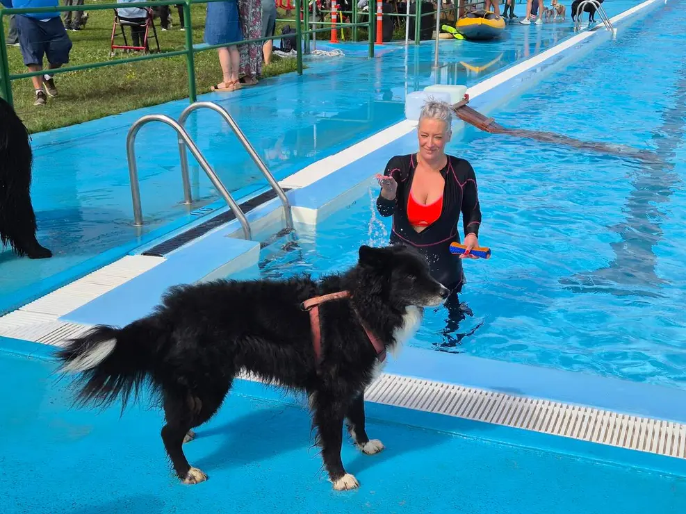 Perros (1)