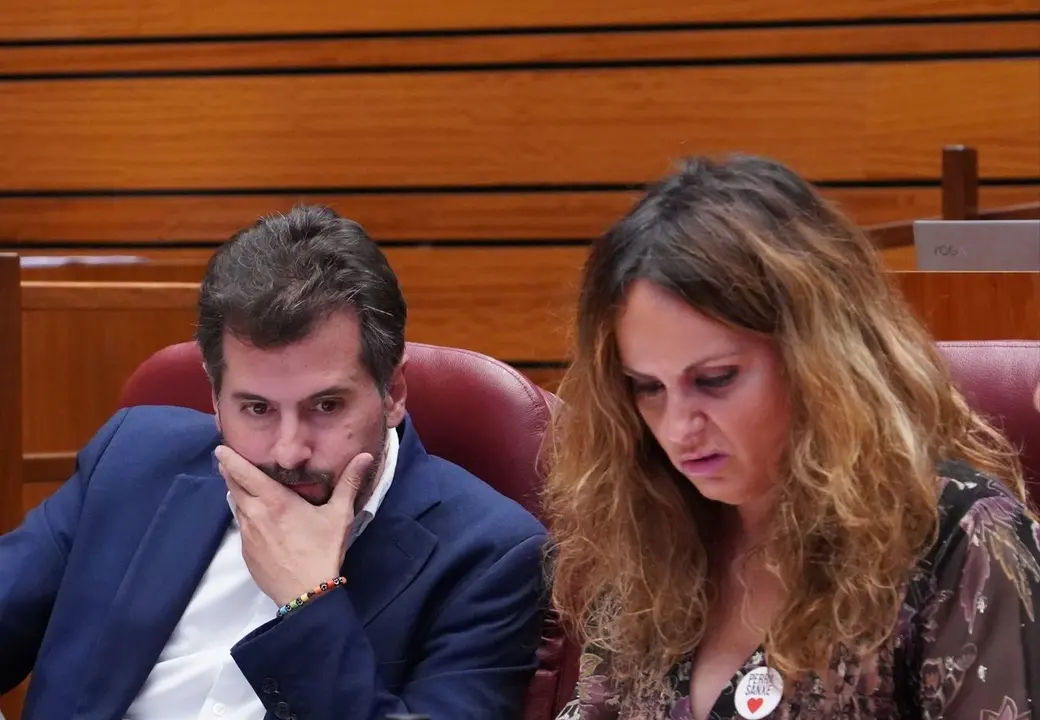 El portavoz socialista Luis Tudanca en el Pleno de las Cortes