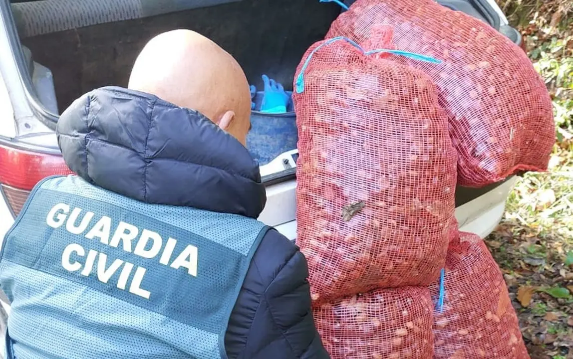 Guardia Civil lcastañas