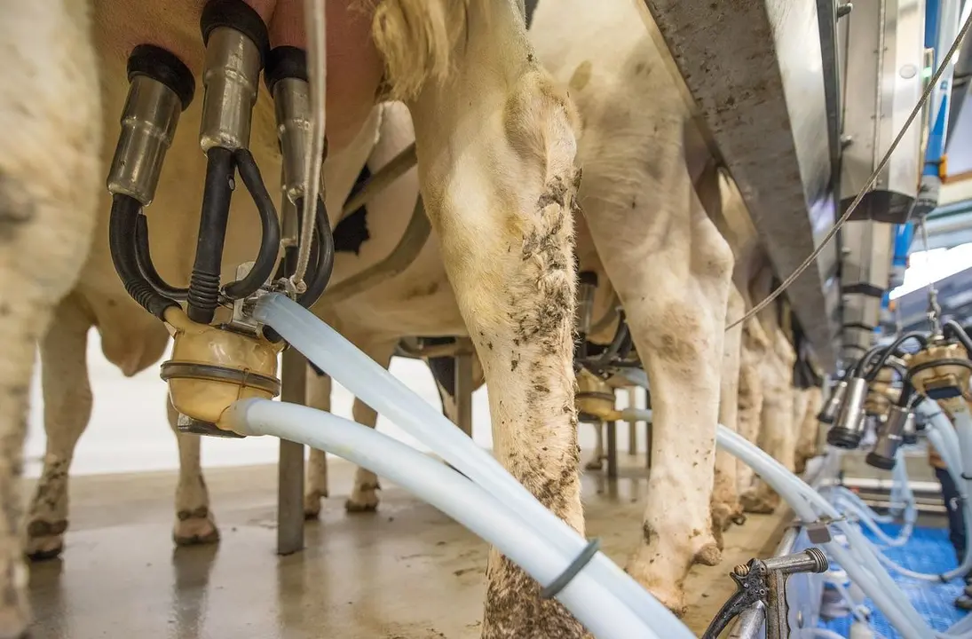 La Asociación de Jóvenes Agricultores de León denuncia el acuerdo alcanzado por la Junta de Castilla y León con la empresa Lácteas San Vicente.