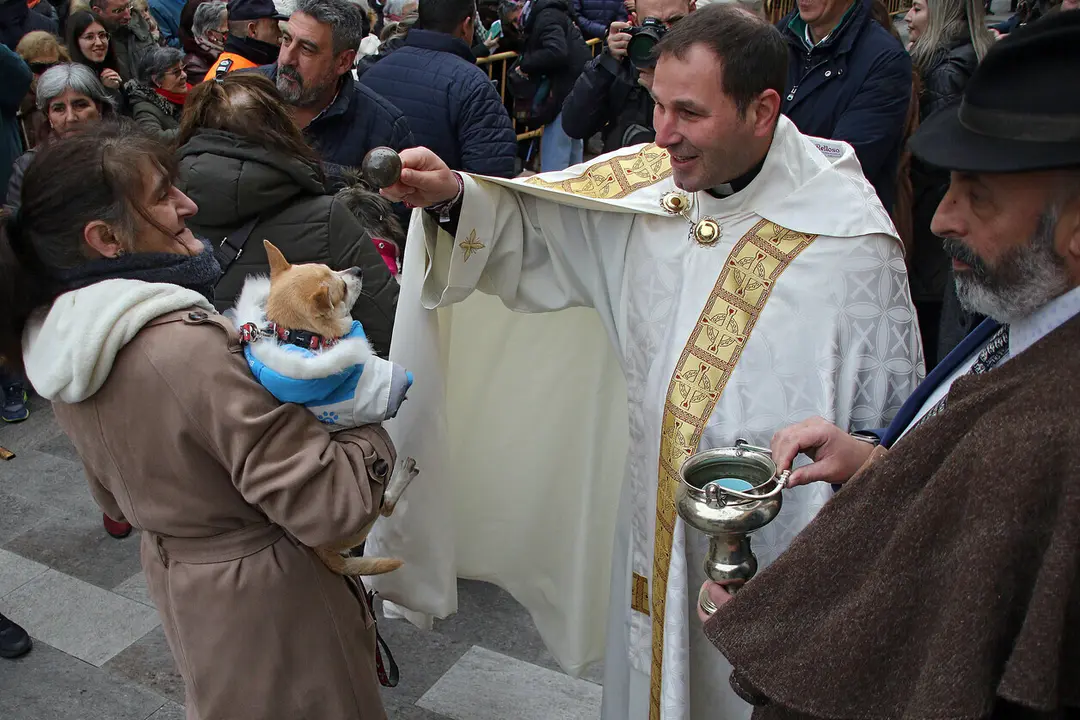 Los leoneses y sus mascotas se encomiendan a San Ant&oacute;n con la tradicional bendici&oacute;n en San Marcelo. El santo preside la eucarist&iacute;a tras dar tres vueltas a la iglesia a hombros de la Cofrad&iacute;a del Sant&iacute;simo Cristo de la Expiraci&oacute;n y del Silencio. Fotos: Peio Garc&iacute;a