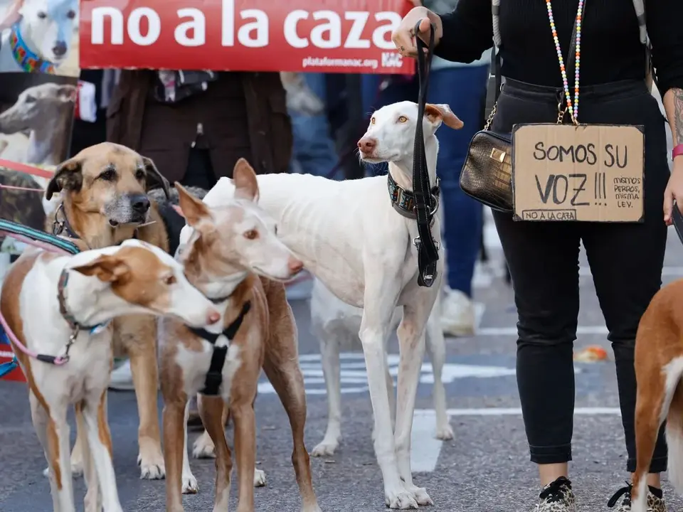 León se moviliza el 2 de febrero para reivindicar los derechos de los perros usados en la caza.