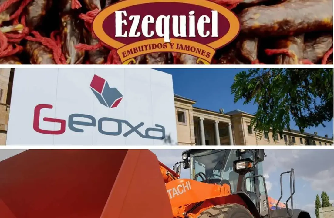 Las leonesas Geoxa, Ezequiel y HJM, entre las 500 compañías españolas líderes en crecimiento empresarial.