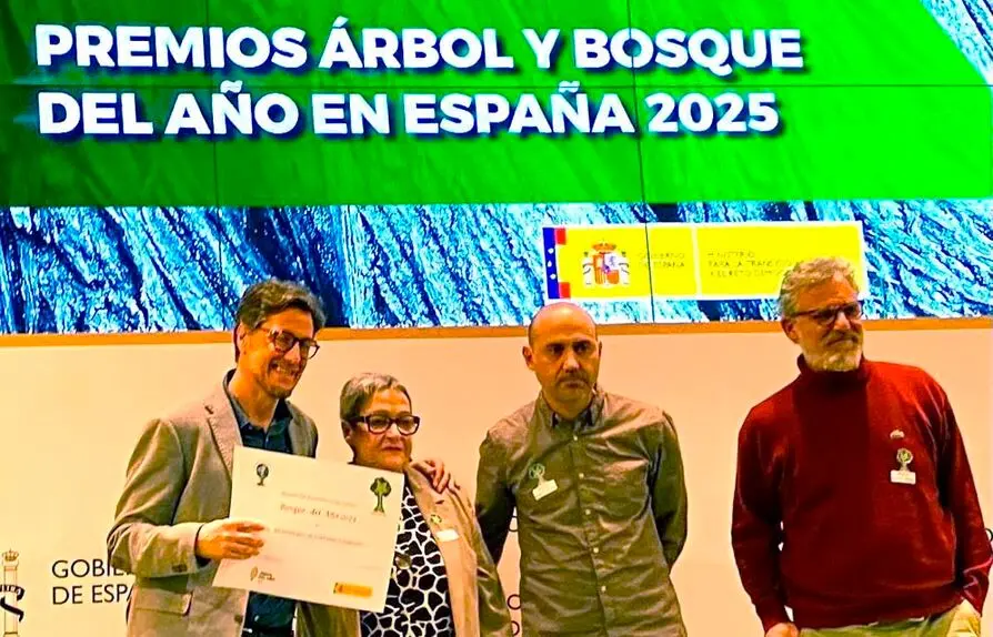 Premios 'Árbol y Bosque del Año en España 2025'.