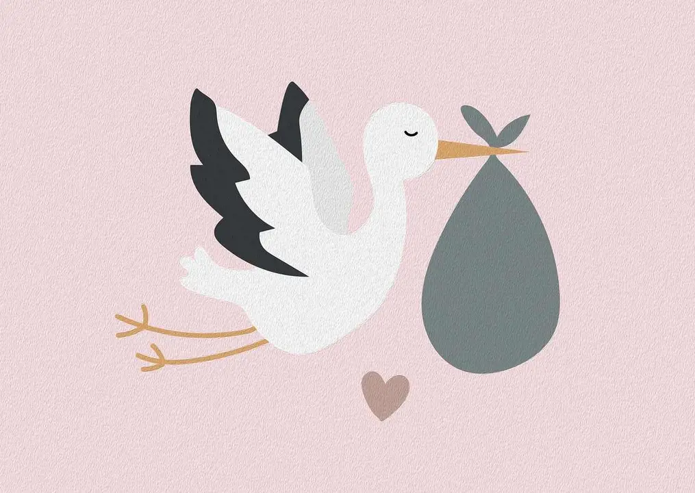 León alcanza las 2.952 prestaciones por nacimiento.