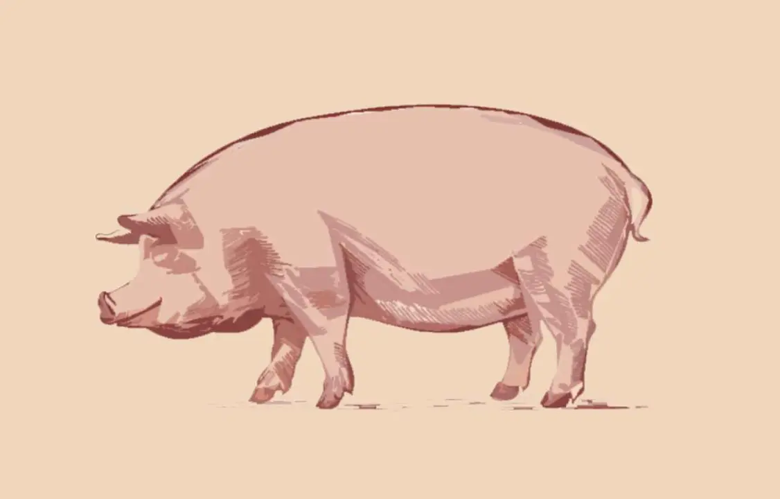 'Saboreando la matanza' en las 23&ordf; Jornadas Gastron&oacute;micas de Mansilla de las Mulas.