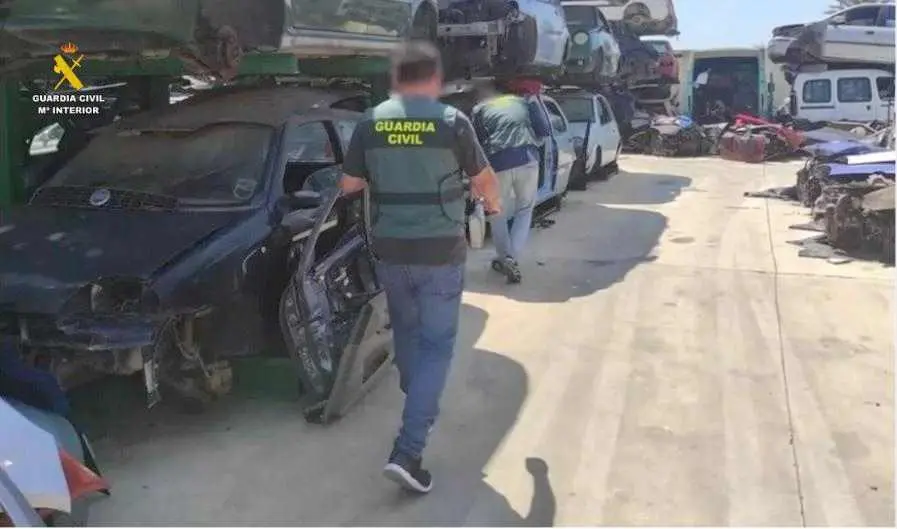 Imagen de una de las intervenciones realizados por los equipos Seprona de la Guardia Civil.