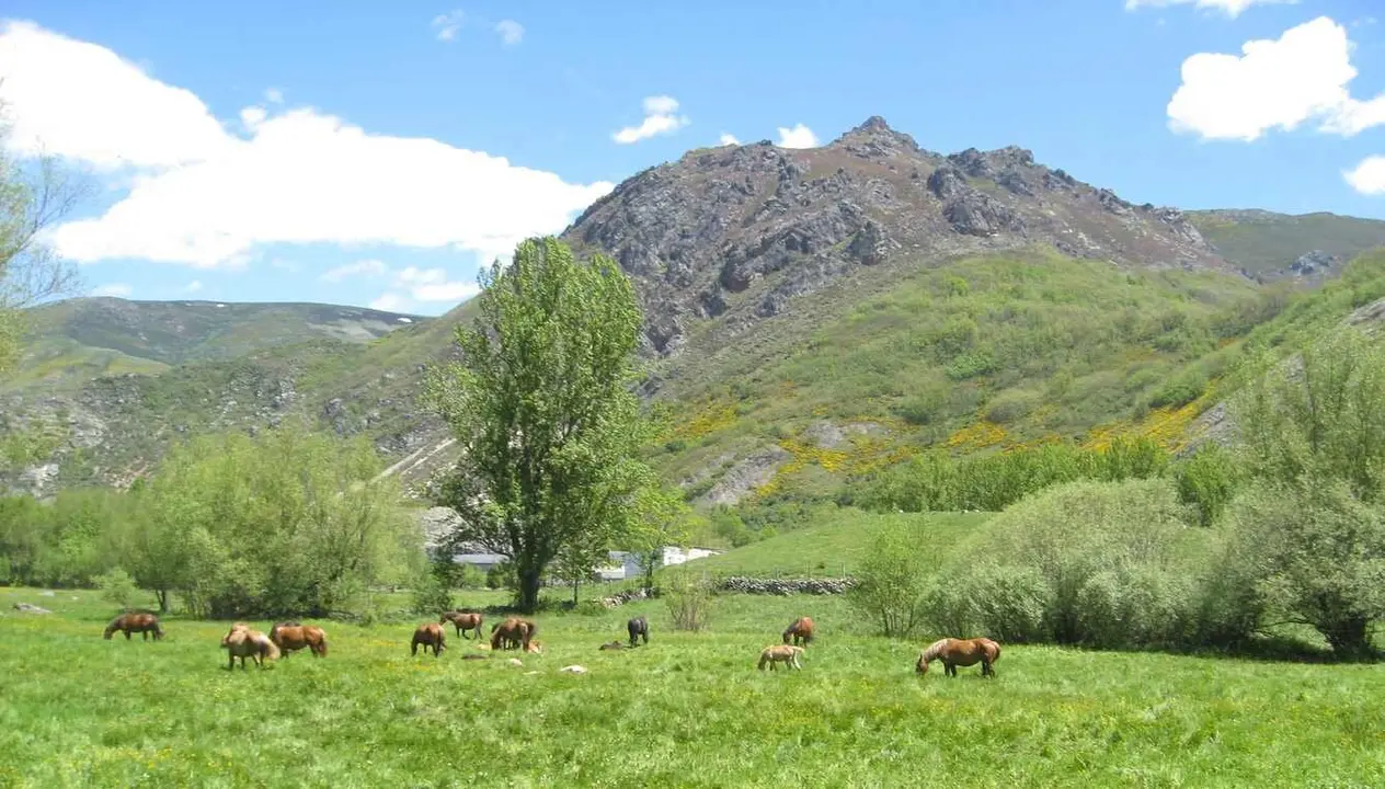 Imagen de la zona de pastos de la localidad leonesa de Cabrillanes. Foto: expedia.com