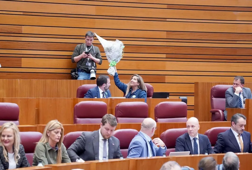 Los procuradores expulsados de Vox, Ana Rosa Hernando y Javier Teira, durante la primera sesión del pleno de las Cortes de Castilla y León que comienza con las preguntas orales de control al Ejecutivo autonómico. Foto: Leticia Pérez.