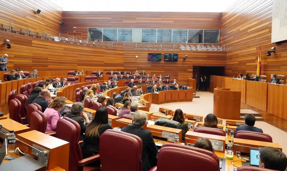 Pleno de las Cortes de Castilla y León.