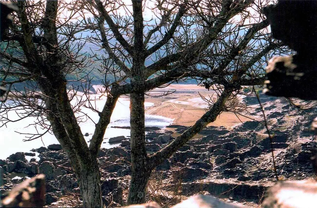 A la orilla del embalse de Villameca, en las mismas ruinas de Oliegos, se celebrará en este verano una cita extraordinaria de Versos a Oliegos, la XXV edición del encuentro cultural