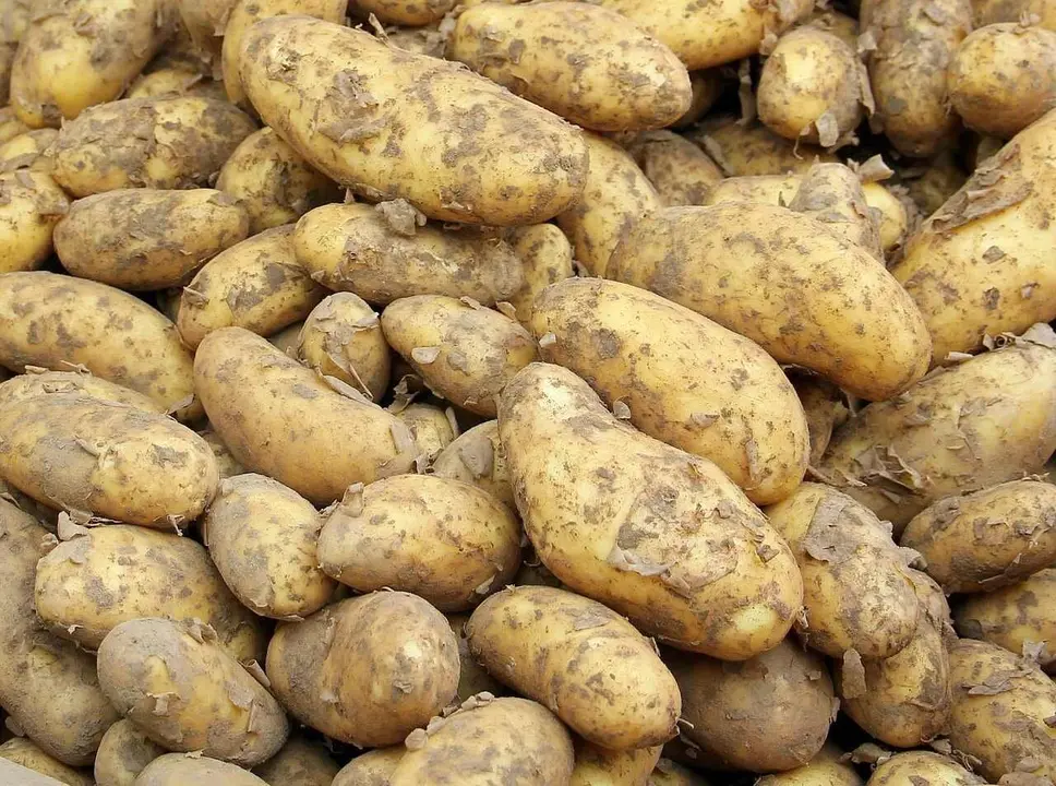 El precio de la patata se ha multiplicado un 40% en el inicio del año.