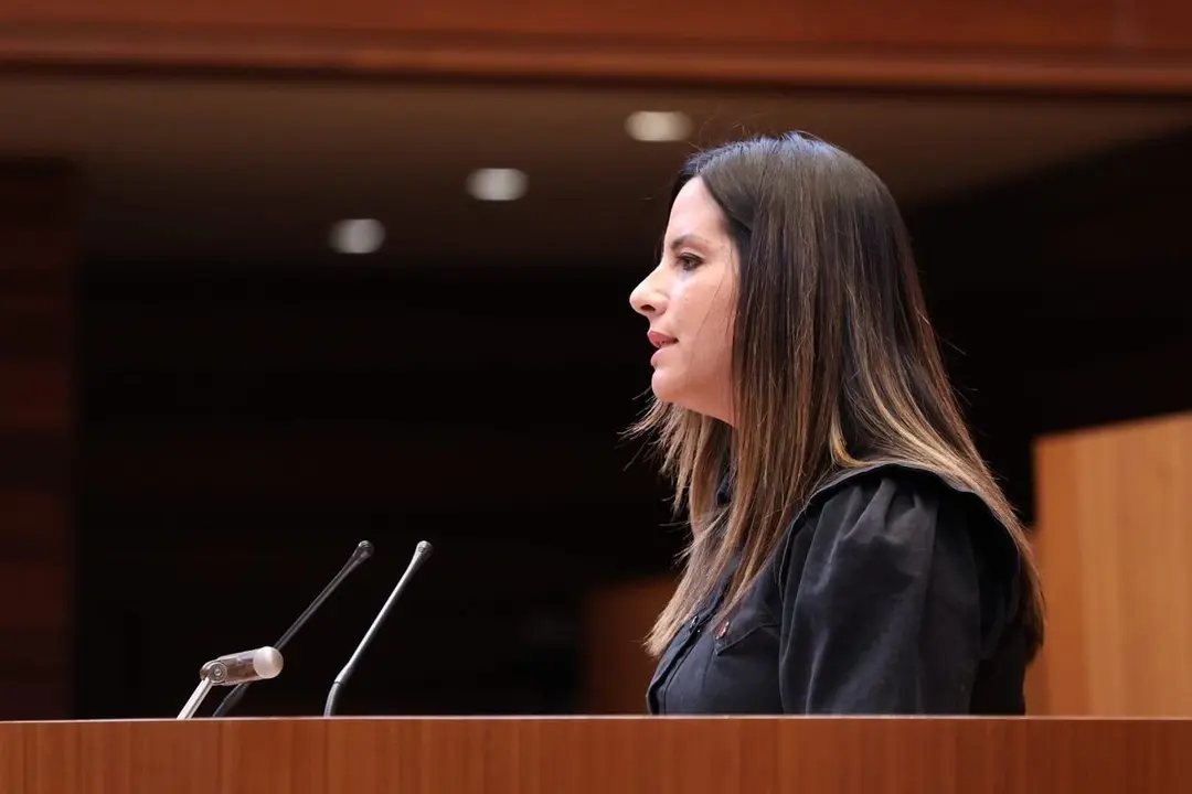 Nuria Rubio en el pleno de las Cortes de Castilla y León.