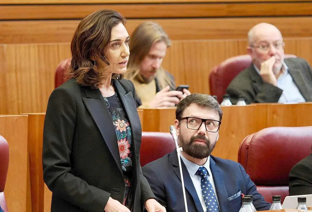 Alicia Gallego, durante su intervención en un pleno de las Cortes.