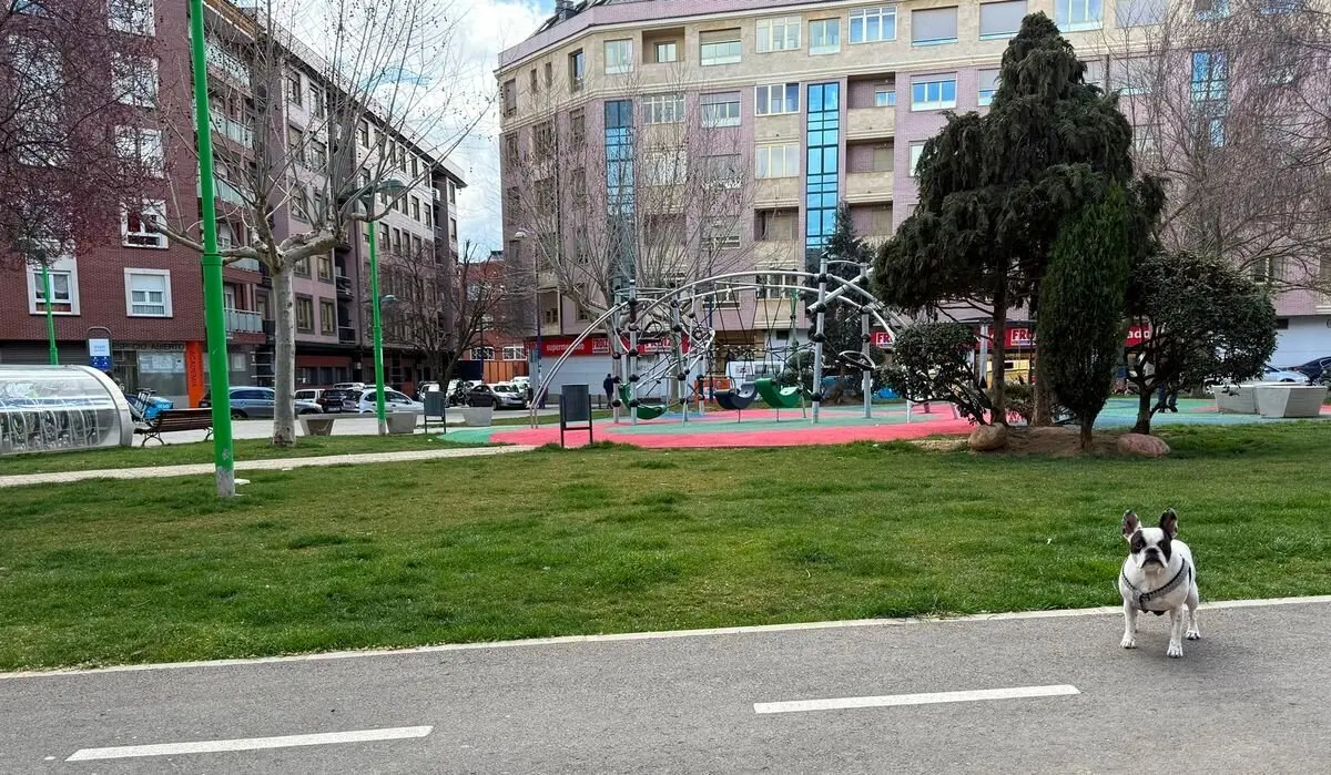El PP municipal critica que el Ayuntamiento haya instalado juegos infantiles dentro de una zona de esparcimiento canino junto a Mariano Andrés.