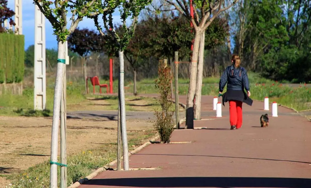 La mejora de los paseos peatonales, otro de los objetivos.