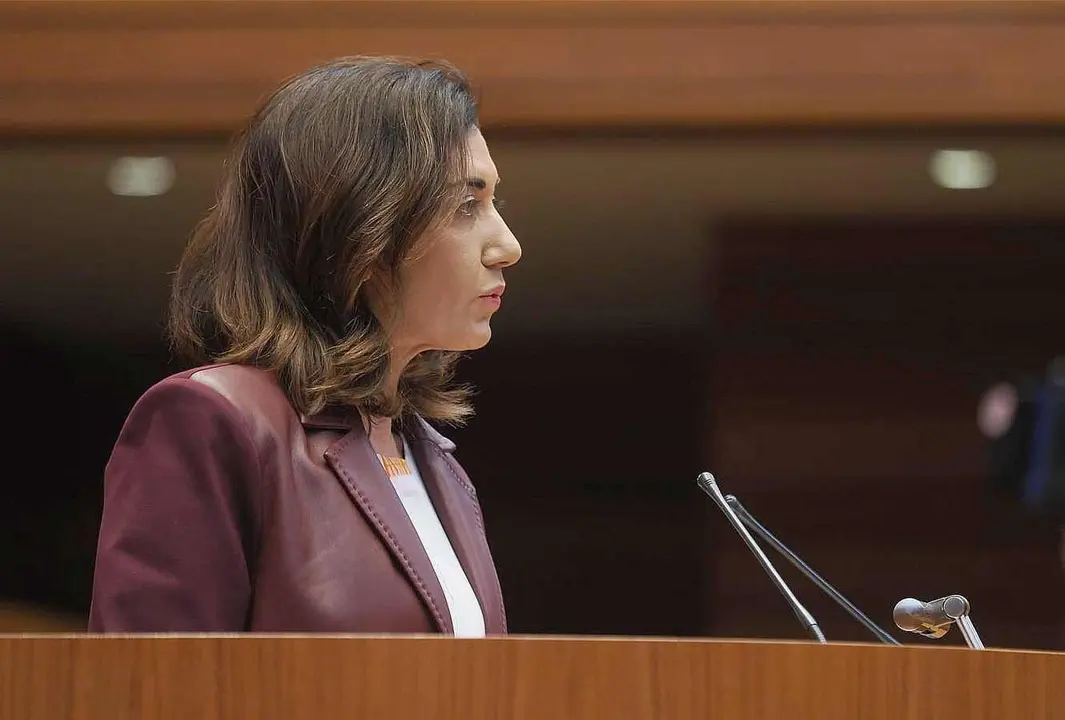 La procuradora de UPL, Alicia Gallego, durante su comparecencia.