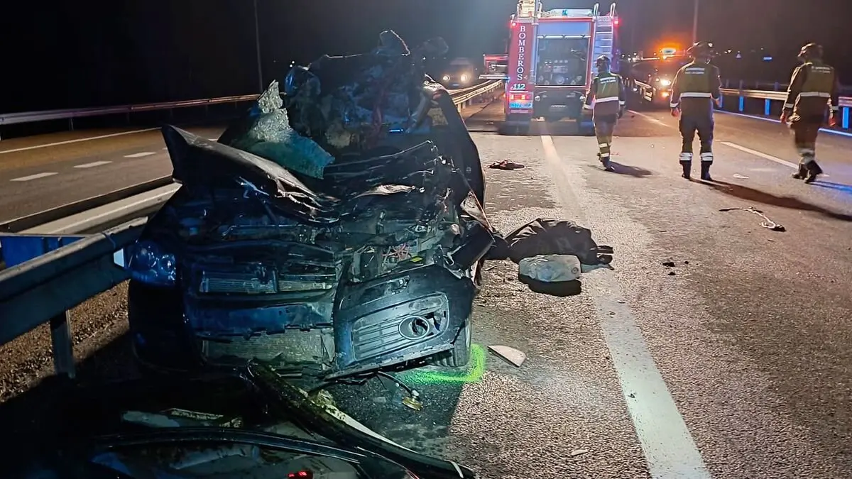 Fallece un varón al colisionar su turismo con un caballo en la AP-66 a la altura de Valverde de la Virgen.