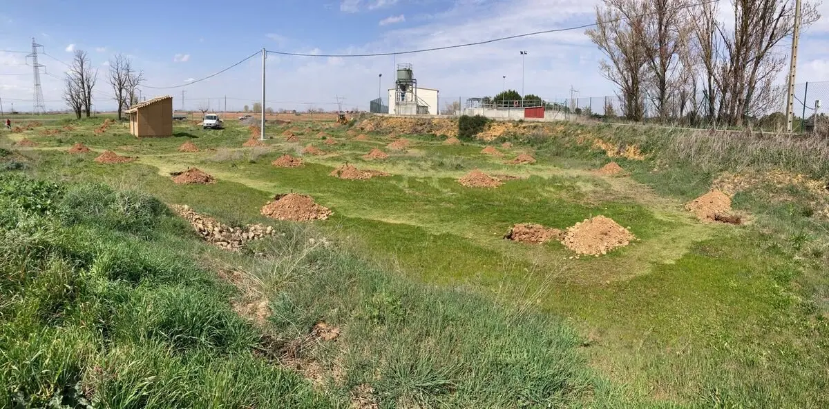 Santa María del Páramo pone en marcha El Bosque Creciente, "Creación de lugar de vida".