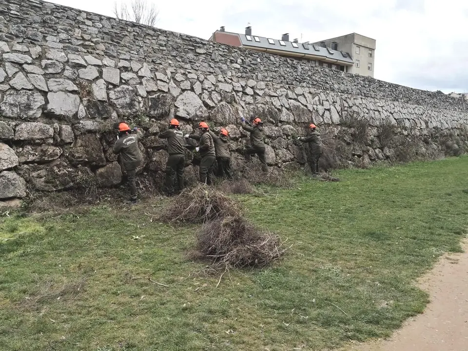 Trabajos de conservación margen río Sil.