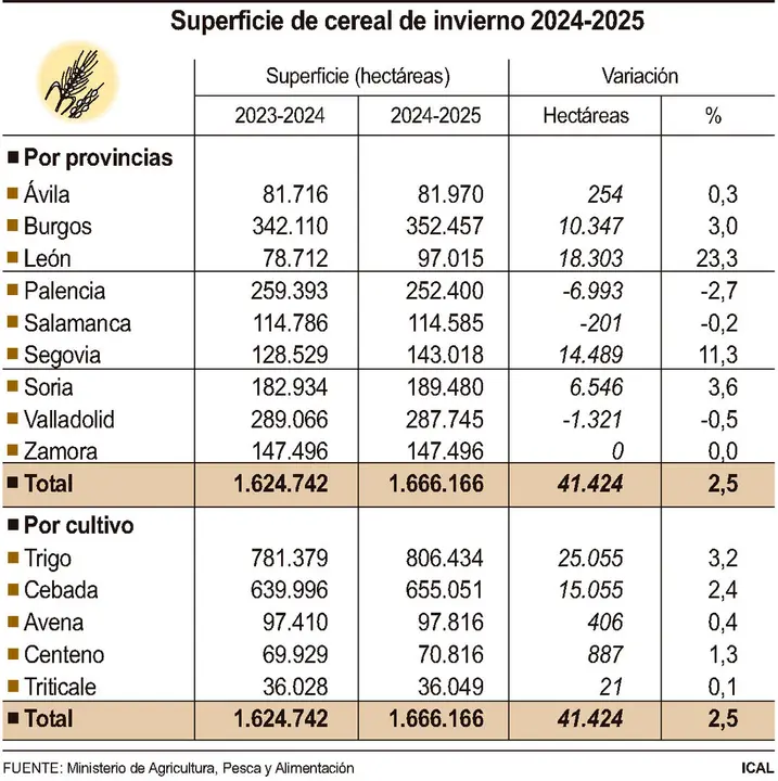 Superficie de cereal de invierno 2023 -2024.