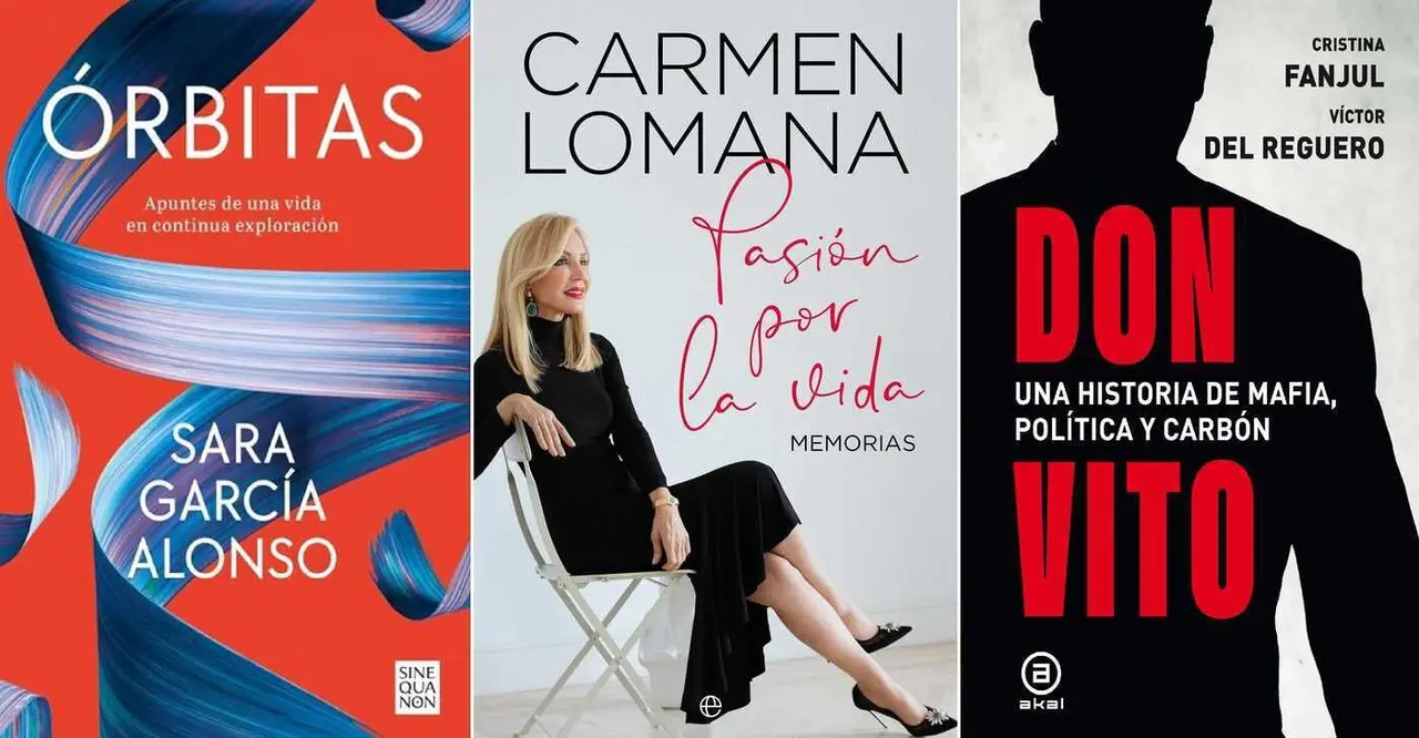 Imagen de tres de las portadas de los libros más vendidos en la provincia.