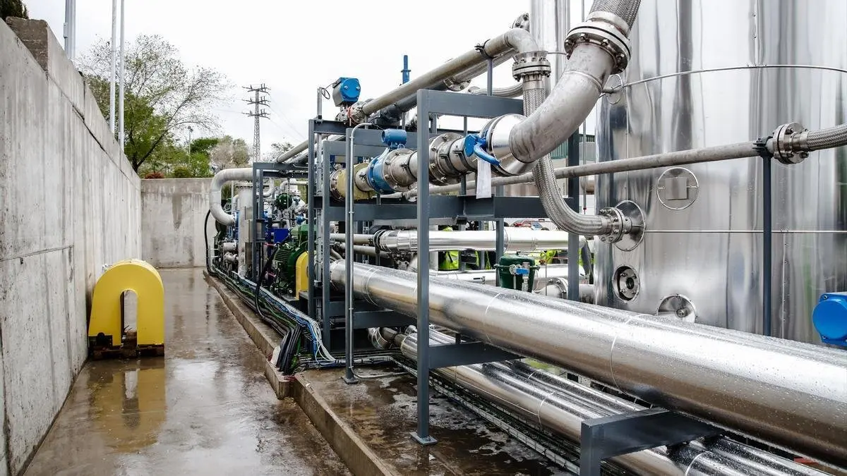 Imagen de una planta de biog&aacute;s.