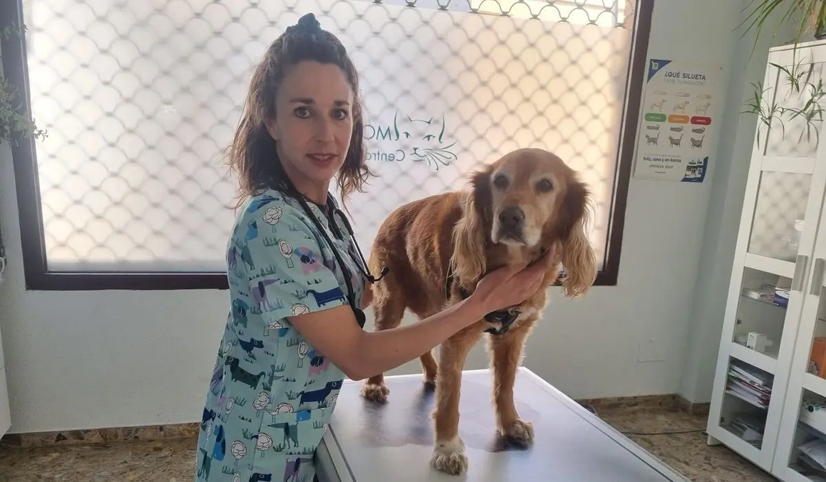 Eva Salas compagina su trabajo en el Centro Veterinario Morego con su labor en su propia asociación protectora Huellitas del Esla.