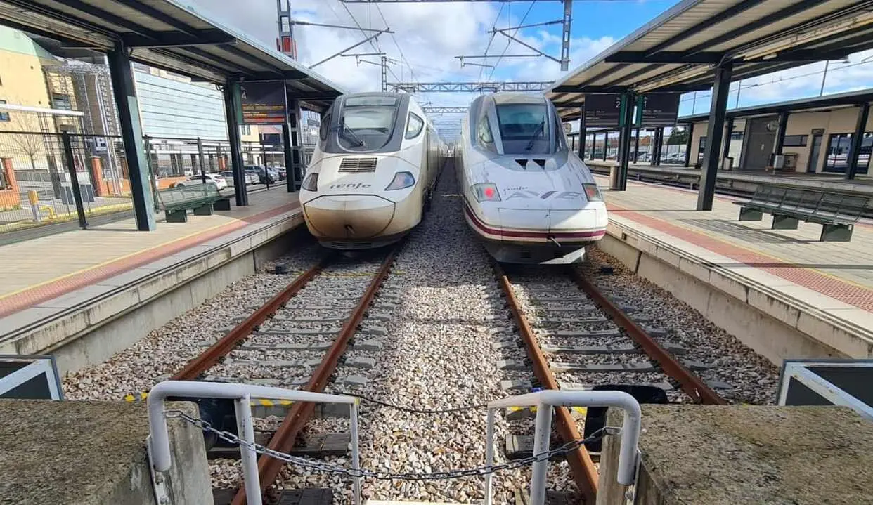 Imagen de un tren Alvia y un AVE en la estación de León. Foto: Heraldo de León