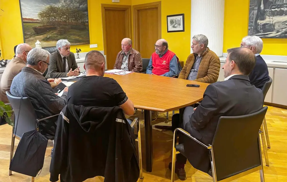 Un instante de la reunión mantenida por la directiva de la Plataforma Más Vuelos con el delegado de la Junta.