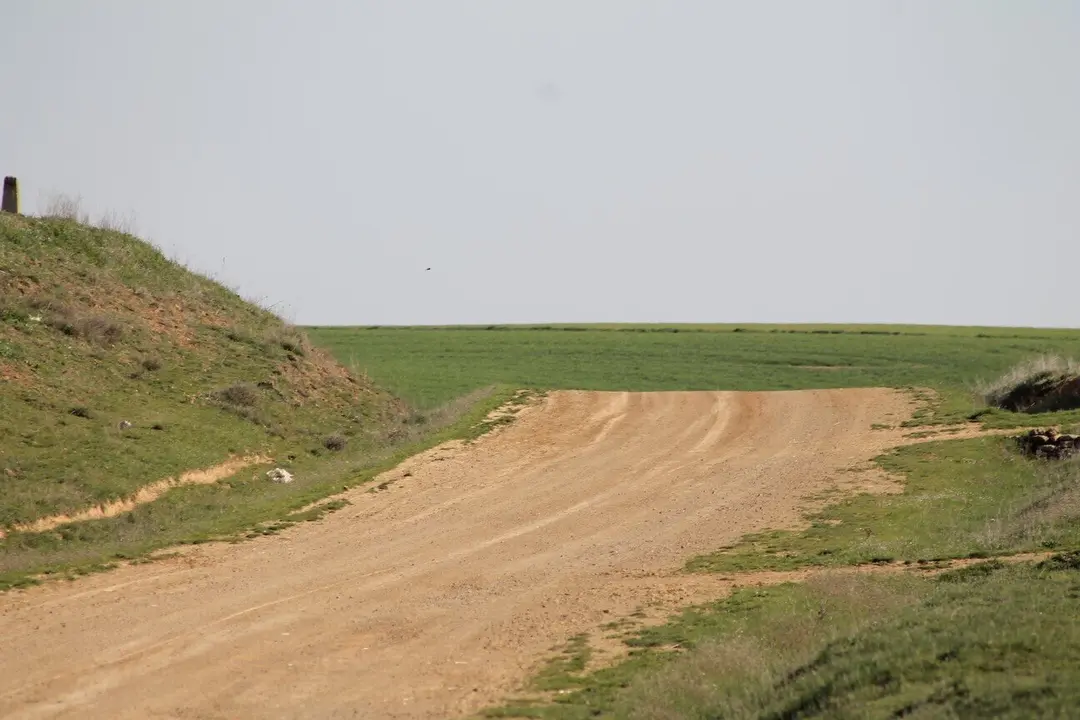 Imagen de archivo del campo.