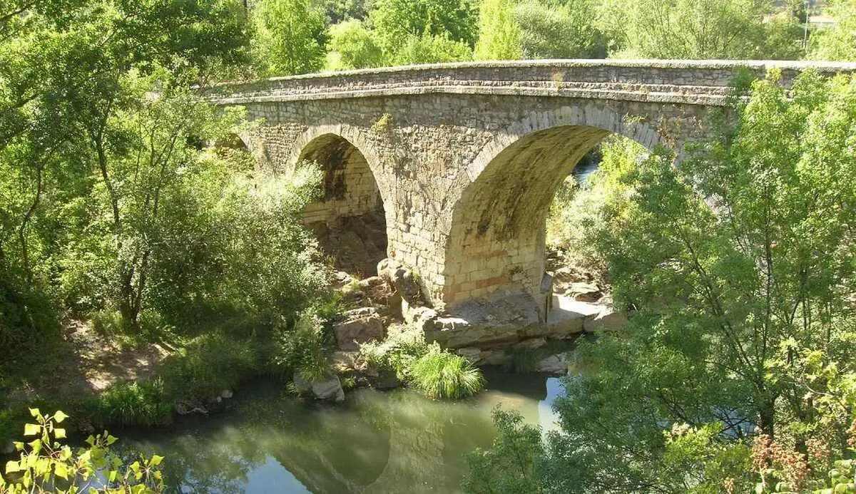 La Reserva de la Biosfera Alto Bernesga ha organizado la jornada “Visión y acción desde la Montaña”, una cita dirigida a empresas, autónomos, asociaciones y ciudadanos comprometidos con el desarrollo rural sostenible.