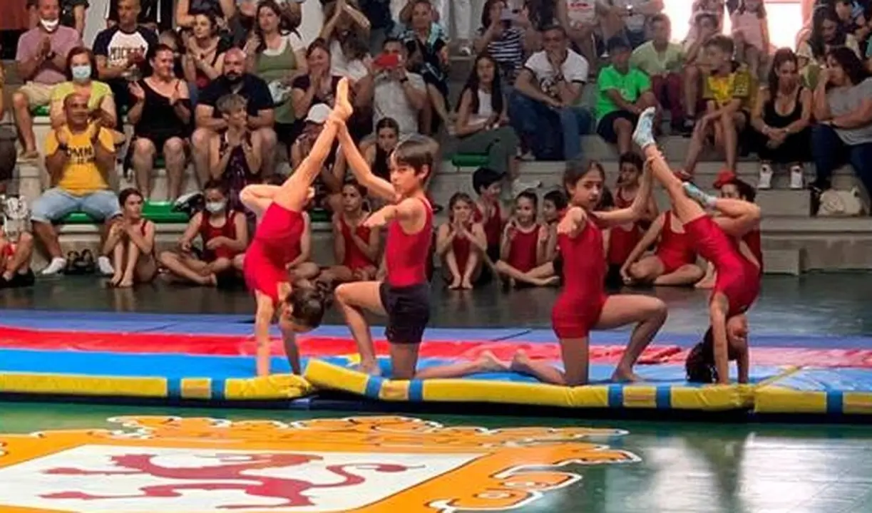 Imagen de la Escuela Deportiva Municipal de Gimnasia Artística.