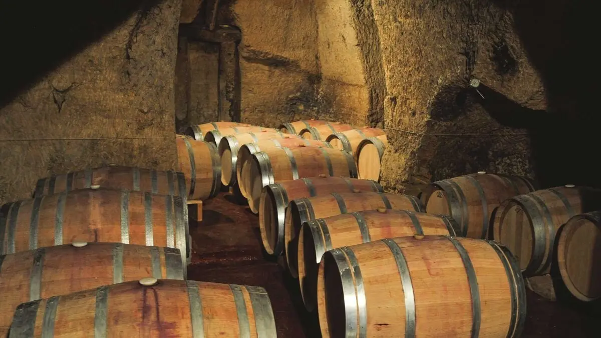 Imagen de una bodega de León.