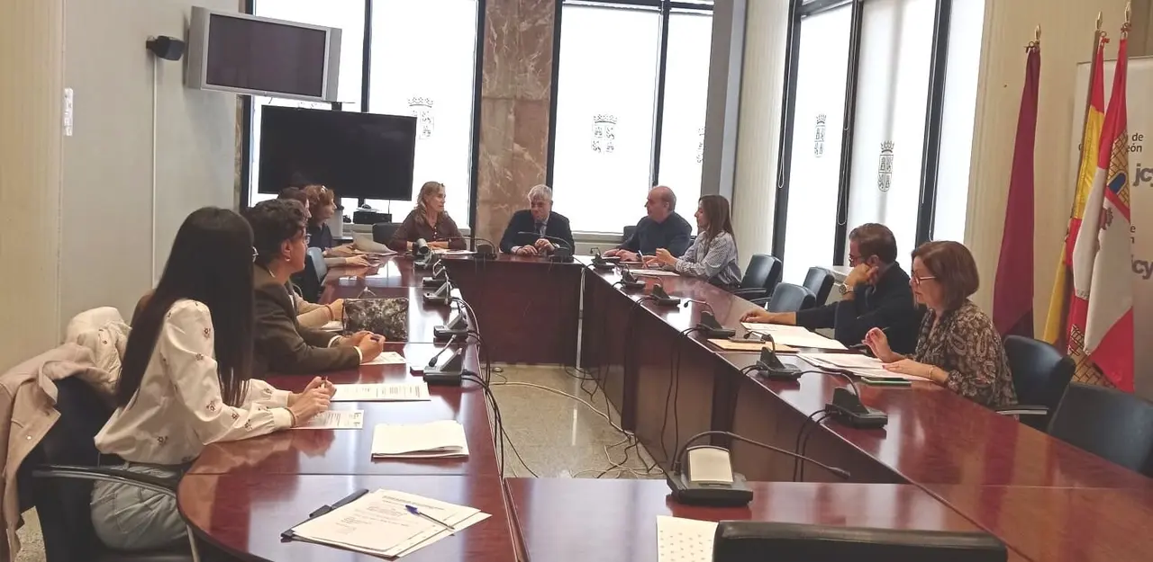 Imagen de la Comisión Hipoacusia.