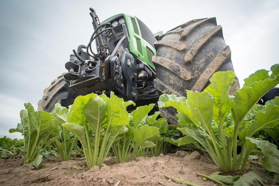 Maquinaria agrícola recorre un campo de remolacha.