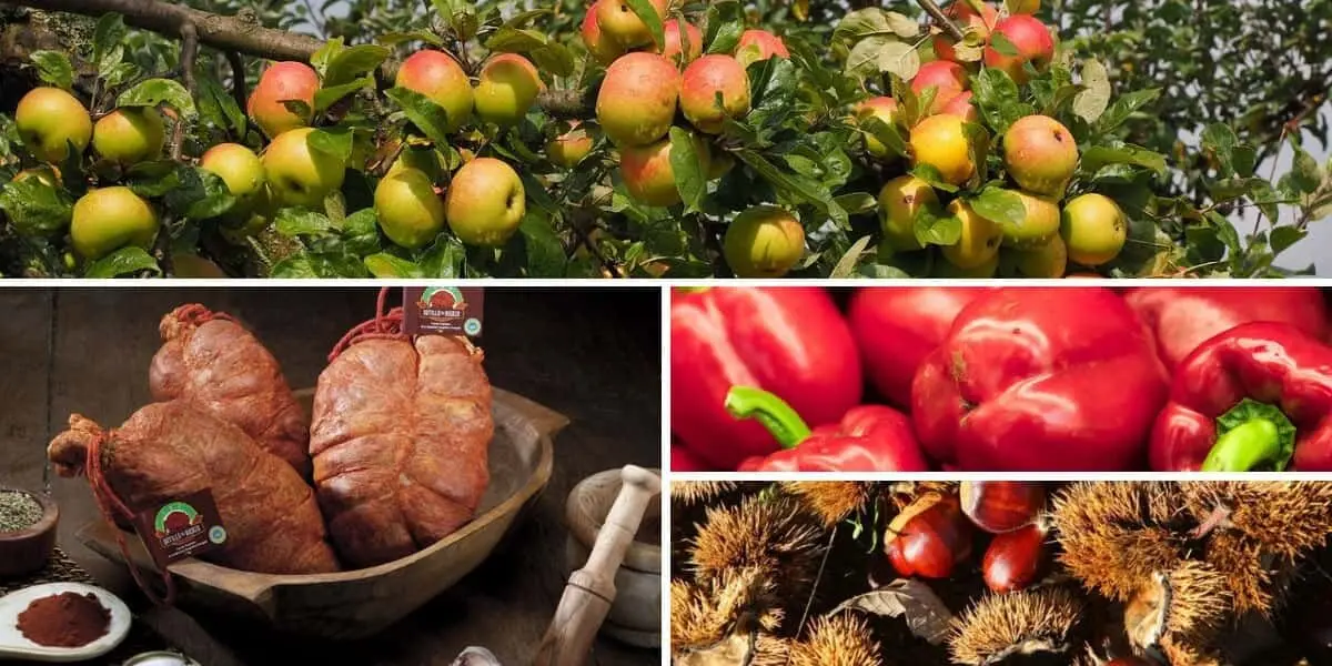 Productos del Bierzo
