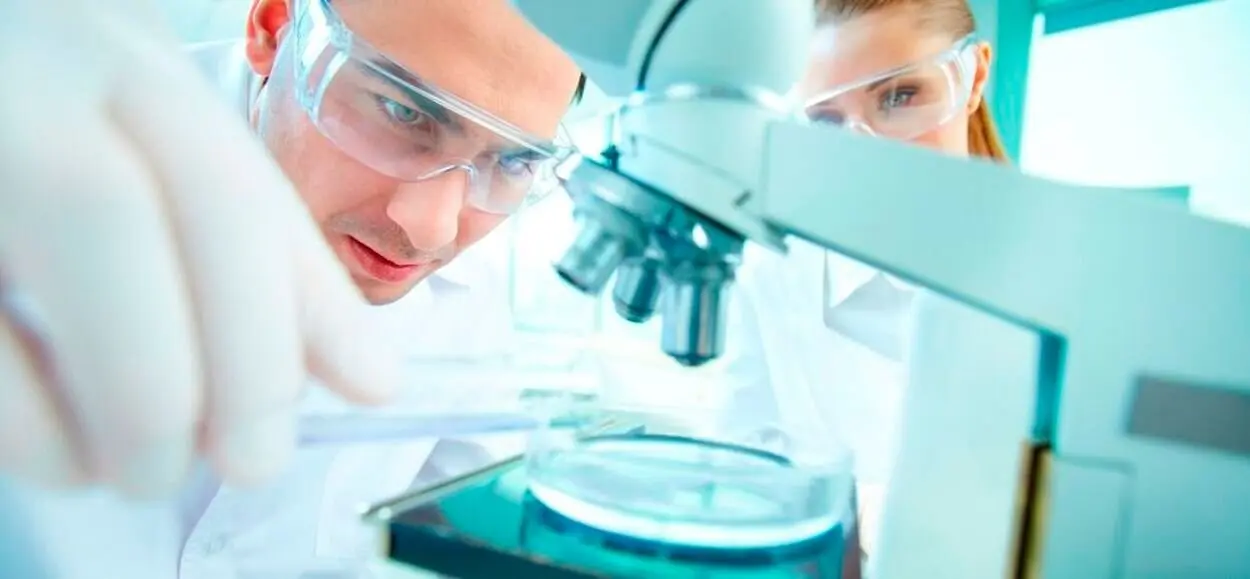 Imagen de archivo de dos personas realizando una investigación.