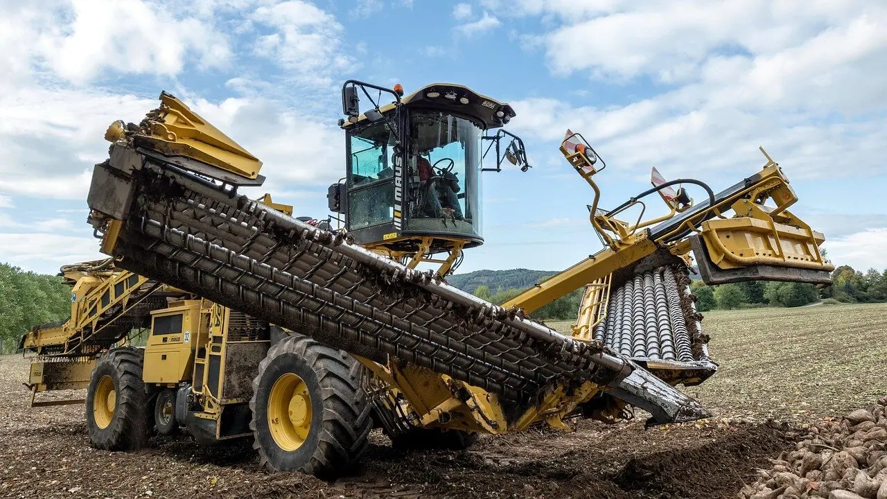 Maquinaria retirando remolacha de un campo de cultivo.